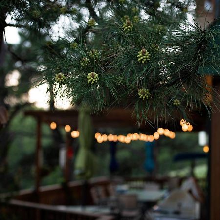 Coyote Blues Village Bed & Breakfast Silver City Dış mekan fotoğraf