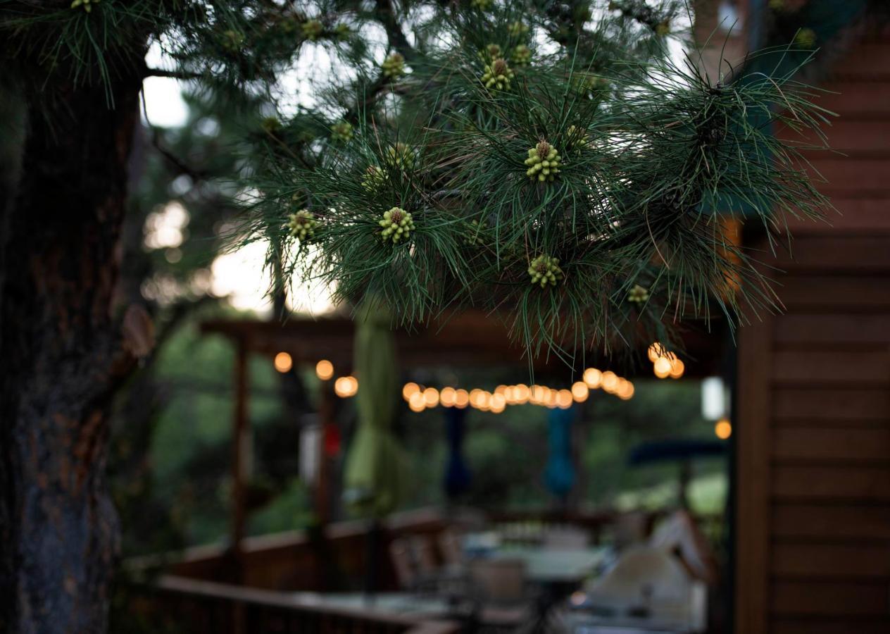 Coyote Blues Village Bed & Breakfast Silver City Dış mekan fotoğraf